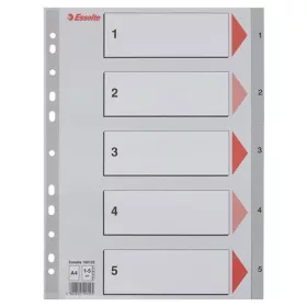 Regiszter, műanyag, A4, 1-5, ESSELTE, szürke (E100103)