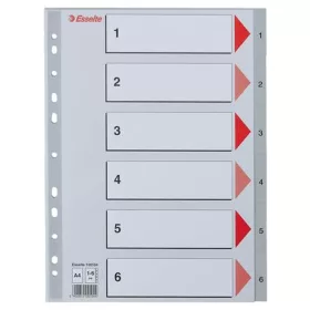 Regiszter, műanyag, A4, 1-6, ESSELTE, szürke (E100104)