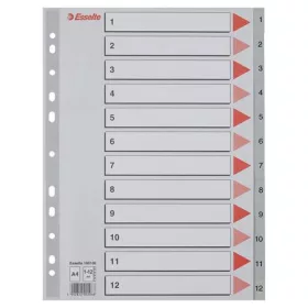 Regiszter, műanyag, A4, 1-12, ESSELTE, szürke (E100106)