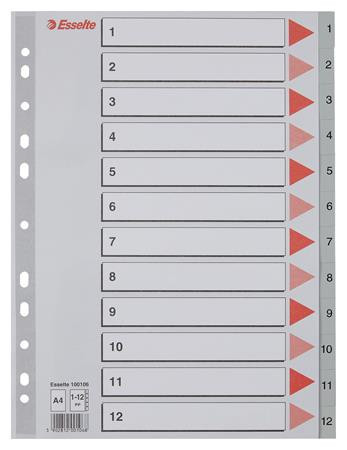 Regiszter, műanyag, A4, 1-12, ESSELTE, szürke (E100106)