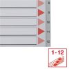 Regiszter, műanyag, A4, 1-12, ESSELTE, szürke (E100106)