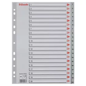 Regiszter, műanyag, A4, 1-20, ESSELTE, szürke (E100107)