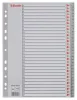 Regiszter, műanyag, A4, 1-31, ESSELTE, szürke (E100108)