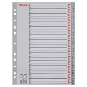 Regiszter, műanyag, A4, 1-31, ESSELTE, szürke (E100108)