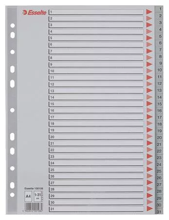 Regiszter, műanyag, A4, 1-31, ESSELTE, szürke (E100108)