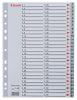Regiszter, műanyag, A4, 1-54, ESSELTE, szürke (E100109)