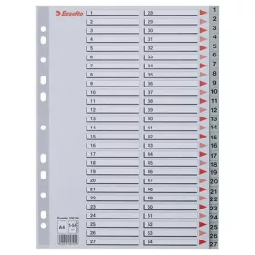 Regiszter, műanyag, A4, 1-54, ESSELTE, szürke (E100109)