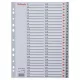 Regiszter, műanyag, A4, 1-54, ESSELTE, szürke (E100109)