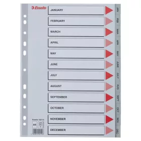 Regiszter, műanyag, A4, Jan-Dec, ESSELTE, szürke (E100114)