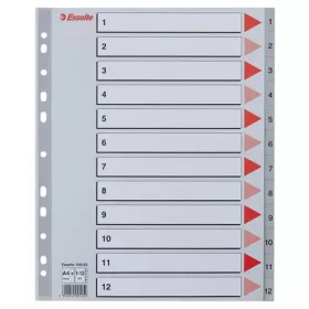   Regiszter, műanyag, A4 Maxi, 1-12, ESSELTE, szürke (E100125)