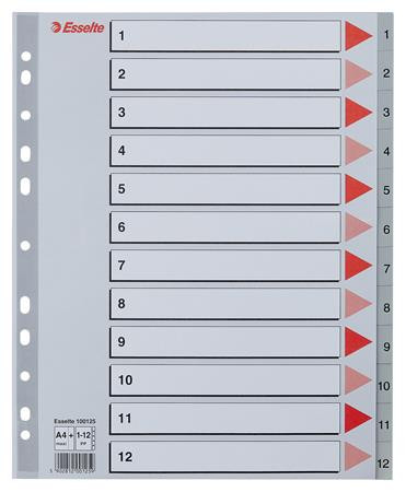 Regiszter, műanyag, A4 Maxi, 1-12, ESSELTE, szürke (E100125)