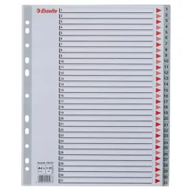   Regiszter, műanyag, A4 Maxi, 1-31, ESSELTE, szürke (E100127)