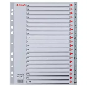   Regiszter, műanyag, A4 Maxi, A-Z, ESSELTE, szürke (E100129)