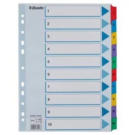 Regiszter, karton, A4, 1-10, ESSELTE Mylar (E100161)