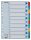 Regiszter, karton, A4, 1-10, ESSELTE Mylar (E100161)