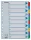 Regiszter, karton, A4, 1-10, ESSELTE Mylar (E100161)