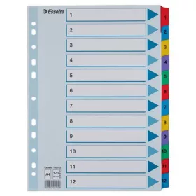 Regiszter, karton, A4, 1-12, ESSELTE Mylar (E100162)