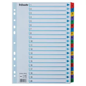 Regiszter, karton, A4, 1-20, ESSELTE Mylar (E100163)