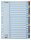 Regiszter, karton, A4, 1-20, ESSELTE Mylar (E100163)
