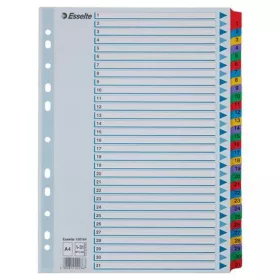 Regiszter, karton, A4, 1-31, ESSELTE Mylar (E100164)