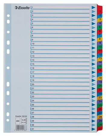 Regiszter, karton, A4, 1-31, ESSELTE Mylar (E100164)
