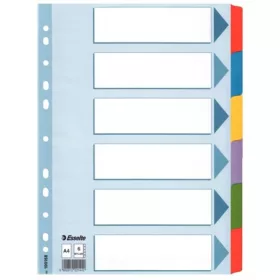   Regiszter, laminált karton, A4, 6 részes, ESSELTE Mylar (E100168)