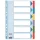 Regiszter, laminált karton, A4, 6 részes, ESSELTE Mylar (E100168)