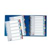 Regiszter, laminált karton, A4, 6 részes, ESSELTE Mylar (E100168)