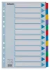 Regiszter, laminált karton, A4, 12 részes, ESSELTE Mylar (E100169)