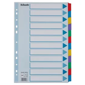   Regiszter, laminált karton, A4, 12 részes, ESSELTE Mylar (E100169)