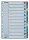 Regiszter, laminált karton, A4, 12 részes, ESSELTE Mylar (E100169)