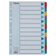 Regiszter, laminált karton, A4, 12 részes, ESSELTE Mylar (E100169)