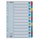 Regiszter, laminált karton, A4, 12 részes, ESSELTE Mylar (E100169)