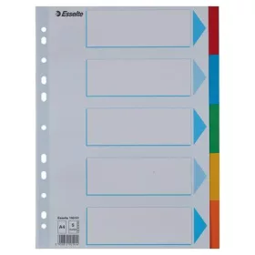   Regiszter, karton, A4, 5 részes, írható előlappal, ESSELTE Standard, színes (E100191)