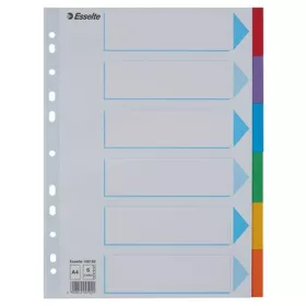   Regiszter, karton, A4, 6 részes, írható előlappal, ESSELTE Standard, színes (E100192)