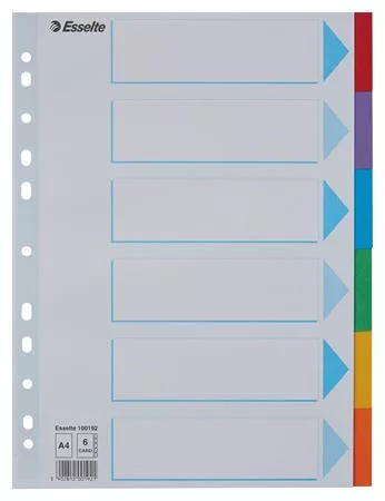 Regiszter, karton, A4, 6 részes, írható előlappal, ESSELTE Standard, színes (E100192)