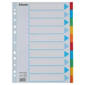   Regiszter, karton, A4, 10 részes, írható előlappal, ESSELTE Standard, színes (E100193)