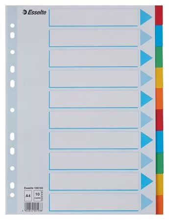 Regiszter, karton, A4, 10 részes, írható előlappal, ESSELTE Standard, színes (E100193)