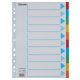 Regiszter, karton, A4, 10 részes, írható előlappal, ESSELTE Standard, színes (E100193)