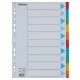 Regiszter, karton, A4, 10 részes, írható előlappal, ESSELTE Standard, színes (E100193)