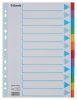 Regiszter, karton, A4, 12 részes, írható előlappal, ESSELTE Standard, színes (E100194)