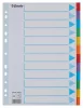 Regiszter, karton, A4, 12 részes, írható előlappal, ESSELTE Standard, színes (E100194)