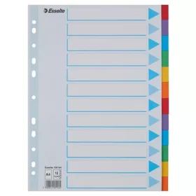   Regiszter, karton, A4, 12 részes, írható előlappal, ESSELTE Standard, színes (E100194)