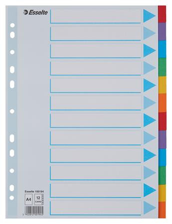 Regiszter, karton, A4, 12 részes, írható előlappal, ESSELTE Standard, színes (E100194)