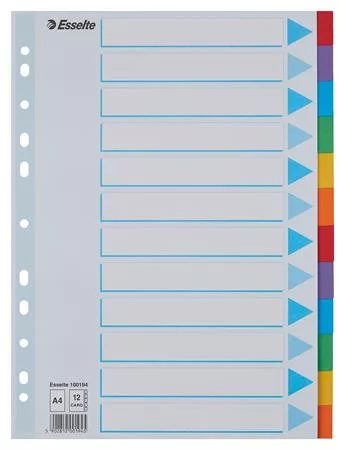 Regiszter, karton, A4, 12 részes, írható előlappal, ESSELTE Standard, színes (E100194)