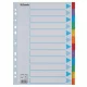 Regiszter, karton, A4, 12 részes, írható előlappal, ESSELTE Standard, színes (E100194)
