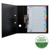 Regiszter, karton, A4, 12 részes, írható előlappal, ESSELTE Standard, színes (E100194)