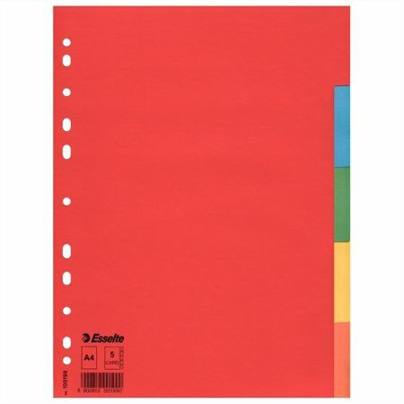 Regiszter, karton, A4, 5 részes, ESSELTE Economy, színes (E100199)