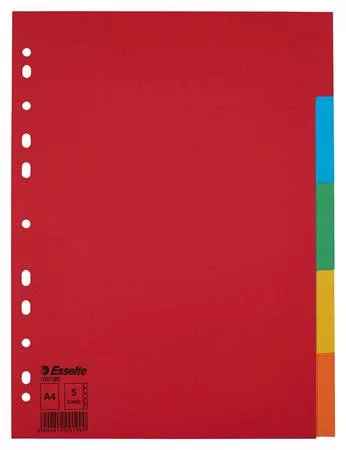 Regiszter, karton, A4, 5 részes, ESSELTE Economy, színes (E100199)