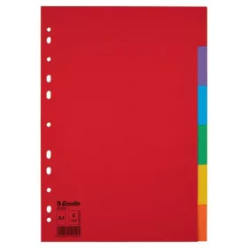   Regiszter, karton, A4, 6 részes, ESSELTE Economy, színes (E100200)